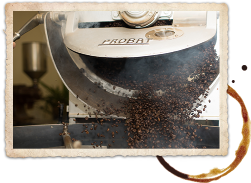 Barista Express